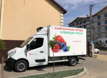 Продажа ягодной фермы 12 га в Киевской области